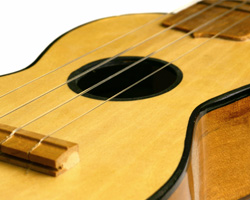 Guitars, Accessories, Other Fretted Instruments