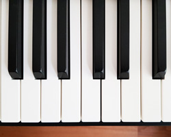 Digital Pianos & Keyboards