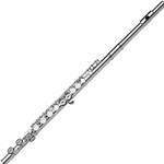 Gemeinhardt 2SP-ANG1 Flute, Artisan Student NG-1 HJ