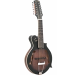 Gold Tone F-12 Mando-Guitar