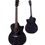 Eastman PCH3-GACE-TBK PCH3-GACE Trans Black A/E, SS Spruce, Lam Maple