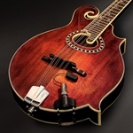 LR Baggs RADIUS-M Mandolin Pickup
