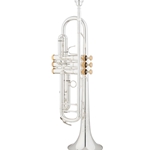 Eastman ETR520GS Intermediate Trumpet w/ Gold Brass Bell and 24k Gold-Plated Trim Kit