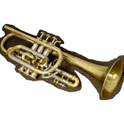 USED NY Bach Cornet Model 10-59