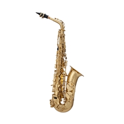 USED Alto Sax in good condition