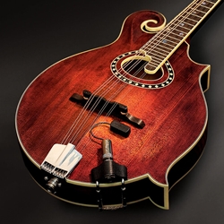 LR Baggs RADIUS-M Mandolin Pickup