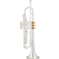 Eastman ETR520GS Intermediate Trumpet w/ Gold Brass Bell and 24k Gold-Plated Trim Kit