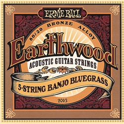 Ernie Ball P02063 Banjo Bluegrass 5 String Set